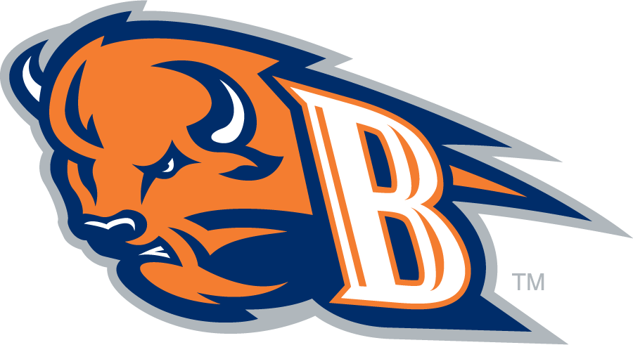 Bucknell Bison 2011-Pres Secondary Logo diy iron on heat transfer